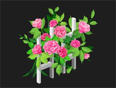 围栅栏上的玫瑰花flash动画