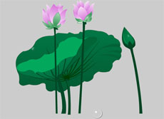 矢量水莲花flash动画