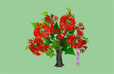 象牙红树植物flash动画