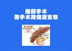 腹部手术介绍flash动画