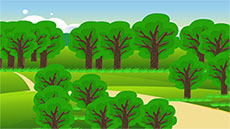 爱护森林树木flash动画