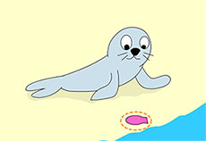可爱的海豹flash动画