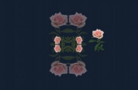粉色玫瑰花对称扩散效果flash动画