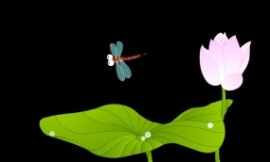 卡通蜻蜓在荷花飞舞flash动画