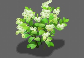 绿色清新植物flash动画