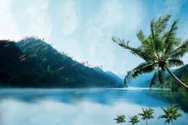 椰子树下的流水声音flash动画