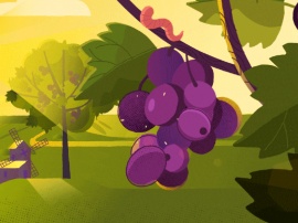 成熟的葡萄从树上掉落flash动画