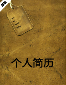 皮革设计个人简历模板下载