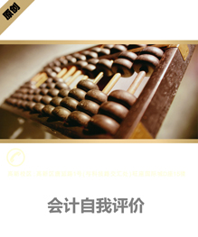 会计自我评价模板下载