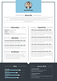 网页排版风格英文简历模板