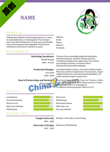 教师英文个人简历范文