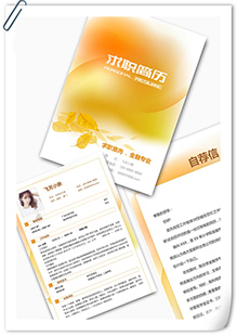 国际金融学专业简历模板