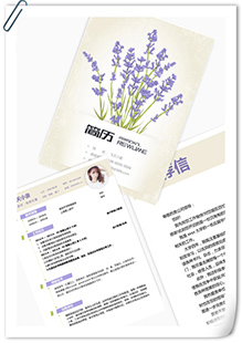 清新财务经理简历模板