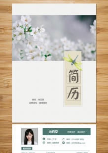 春的气息整套简历模板