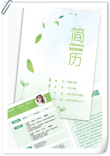 清新销售代表简历模板