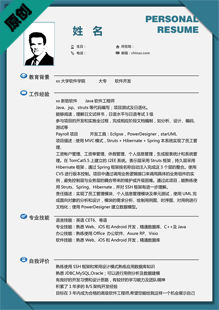 it高级项目经理简历模板