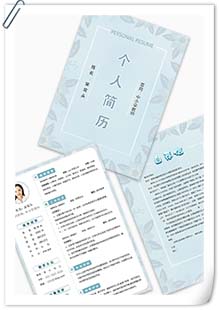 清新中小学教师简历模板