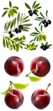 多款新鲜水果矢量素材