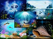 绚丽海底世界矢量图下载