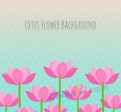 粉色荷花丛矢量素材