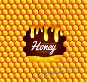 蜂蜜六边形背景矢量图