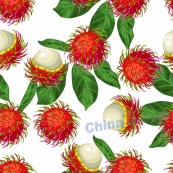 红毛丹矢量水果背景图