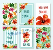 夏季热带花卉卡片矢量图