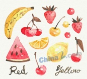 彩绘黄色和红色水果矢量图