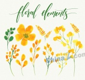 水彩绘黄色花卉和叶子矢量图