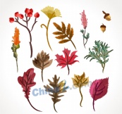 彩绘秋季植物设计矢量图