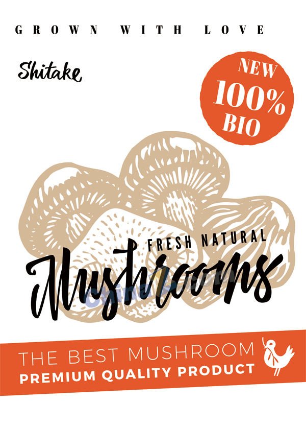 新鲜蘑菇矢量插图海报设计矢量下载