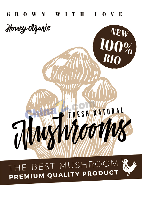蘑菇美食海报模板设计矢量下载