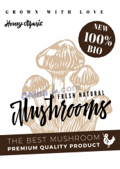 蘑菇美食海报模板设计