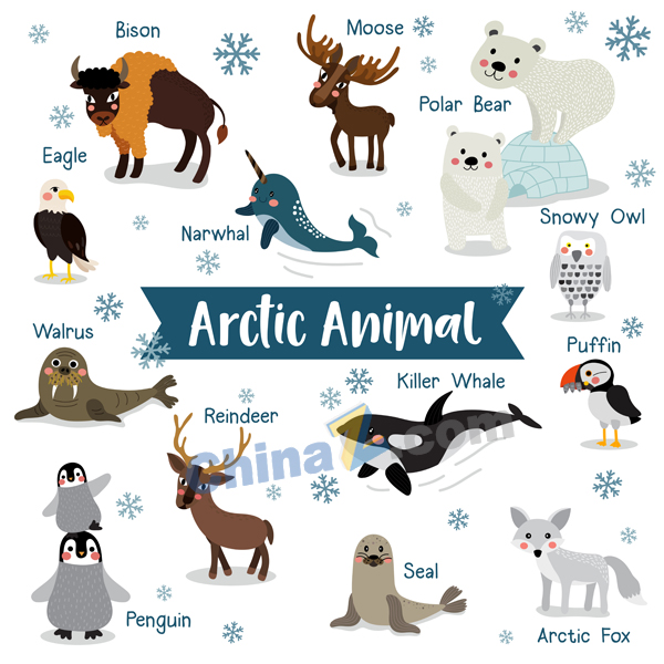 卡通北极动物矢量素材矢量下载