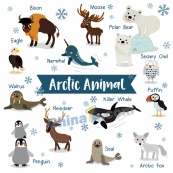 卡通北极动物矢量素材