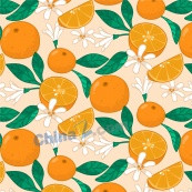 手绘橙色水果图案设计