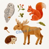 水彩画森林动物插图