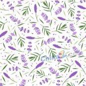 紫色薰衣草花卉背景图