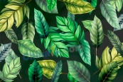 水彩热带植物树叶背景素材