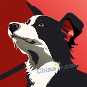 牧羊犬手绘插图矢量素材