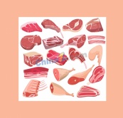 各种肉类食材合集矢量