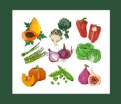 健康鲜艳蔬菜烹饪食材模板