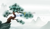 极简松树悬崖国风插画矢量背景