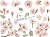 水彩风格春日樱花花卉矢量素材