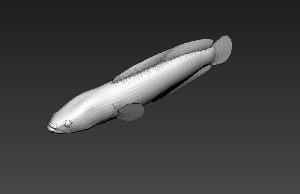 鱼三维模型设计