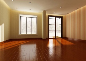 简装木地板房3d模型