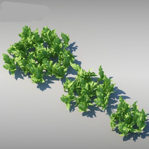 室外植物模型效果图