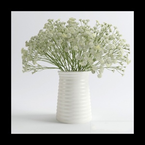 白色雏菊3D花卉模型