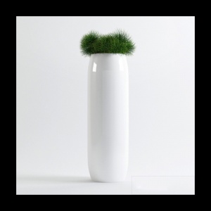 室内绿色植物盆栽模型