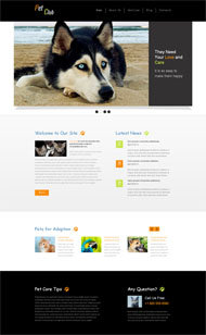 宠物饲养Html5网站模板